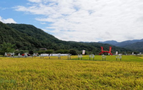 全省推介！漢中2路線入選→縮略圖