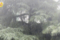 未來三天，陜西有強降水天氣過程，局地短時暴雨，具體預報→縮略圖