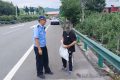 行人禁止上高速，別拿生命走 “ 捷徑 ” ！縮略圖