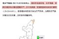 強降雨天氣持續(xù)！局地大到暴雨！這些一定要做到→縮略圖