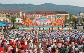 【城固有約】柑桔飄香，又是一年好“豐”景縮略圖