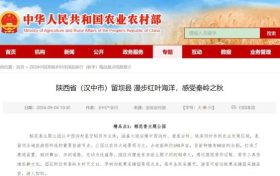 農(nóng)業(yè)農(nóng)村部推介！留壩獲評(píng)2024中國(guó)美麗鄉(xiāng)村休閑旅游行（秋季）精品景點(diǎn)線路縮略圖