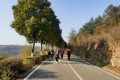 1月5日，漢中氣象發(fā)布大霧黃色預(yù)警信號(hào)縮略圖