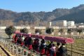開門紅！全縣首輛！鱘游佛坪“熊貓?zhí)枴毙』疖囌竭\行→縮略圖