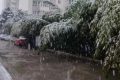 明顯降溫！陜西新一波雨雪即將到來縮略圖