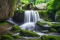 尋夢(mèng)油菜花海，探秘漢江之源：三天兩晚奇遇之旅縮略圖