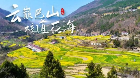 寧強(qiáng)巴山梯田油菜花，藏著漢中最立體的春天！縮略圖