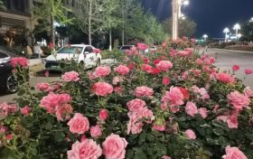 陜西發(fā)布消費提示！警惕“零團費”等不合理低價產品縮略圖