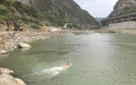 縱身激流顯擔(dān)當(dāng)！略陽(yáng)公安民警以身為舟托起生命希望縮略圖