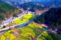 鎮(zhèn)巴簡池鎮(zhèn)李塘村：春日河畔花海，宛如水墨仙境縮略圖