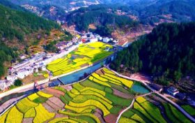 鎮(zhèn)巴簡(jiǎn)池鎮(zhèn)李塘村：春日河畔花海，宛如水墨仙境縮略圖